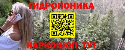 сатива Абинск