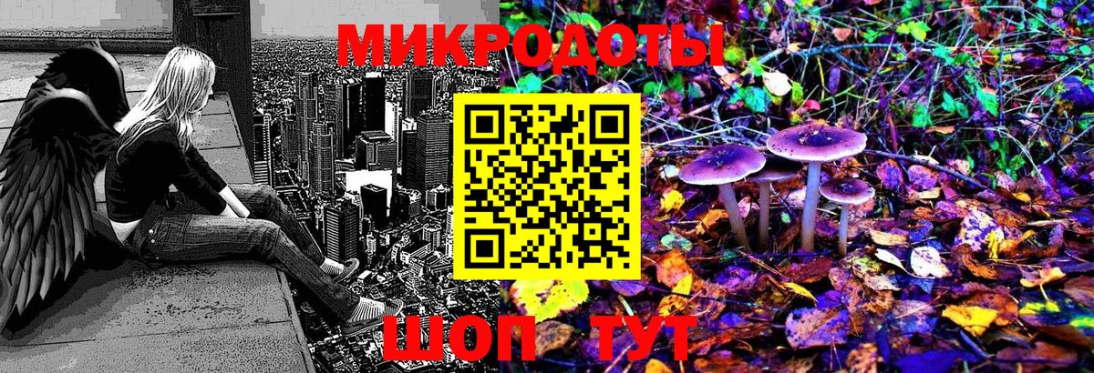Псилоцибиновые грибы Magic Shrooms Россия
