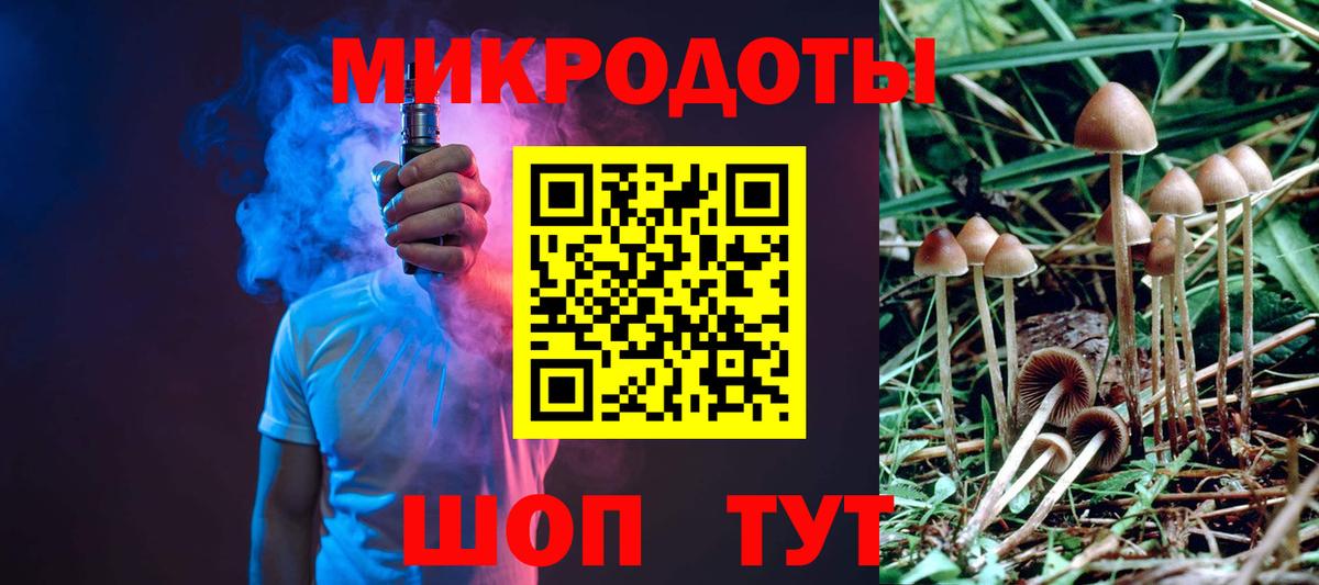 Псилоцибиновые грибы Cubensis  Вход с VPN  Россия 