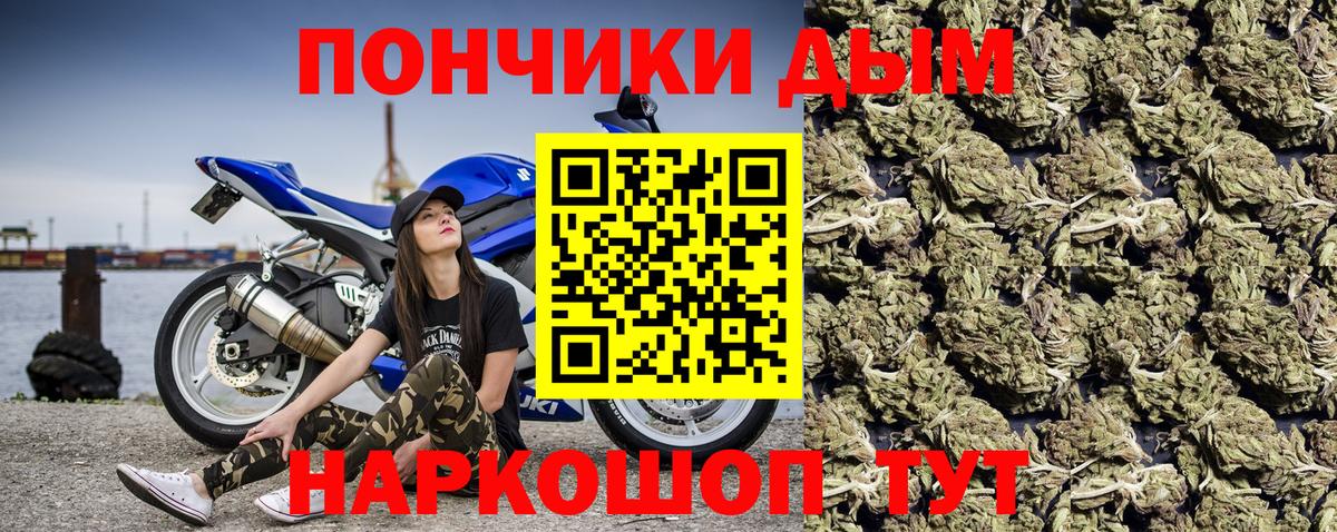 Россия  Конопля сатива  Вход с VPN  Каннабис VHQ 